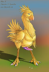 anthro athus chocobo final_fantasy furry male_only tagme