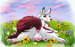 animal_genitalia animal_vulva brown_nose canid canine canine_genitalia canine_vulva claws female feral fur genitals hi_res mammal muskydusky pawpads pink_pawpads red_tail solo tail tail_anus whiskers white_body white_claws white_fur yellow_eyes
