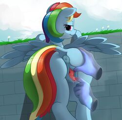 2015 absurd_res anus ass ass_grab color dimfann disembodied_hand equine female feral friendship_is_magic hair half-closed_eyes hand_on_ass hi_res looking_back mammal multicolored_hair my_little_pony outside pegasus purple_eyes pussy pussy_juice rainbow_dash_(mlp) rainbow_hair rear_view smile wings