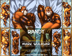 1boy 2015 anthro balls biceps bondage bondage_gear bound chubby dakimakura_design erection fur harness leather looking_at_viewer male male_only mammal mark_wulfgar markwulfgar muscles nipples nude pecs penis red_panda smile solo