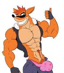 1boy 2016 anthro bandicoot bara biker biker_jacket bulge crash_(series) crash_bandicoot crash_bandicoot:_warped fingerless_gloves green_eyes heart_underwear jacket makeembig male male_only marsupial muscular orange_fur pink_underwear pubic_tuft shorts solo sunglasses thumbs_up underwear video_games white_background