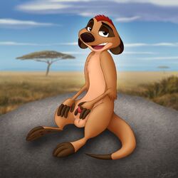 disney feral looking_at_viewer male male_only mammal meerkat mongoose penis reykay solo the_lion_king timon