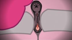 2015 animal animated anus ass clitoris equine female friendship_is_magic furry furry_only horn horse mammal my_little_pony pinkie_pie_(mlp) pony pussy straight_hair sugar_belle tiarawhy unicorn