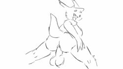 animated anthro black_and_white canisfidelis cowgirl_position female furry nintendo penis pokemon pokemon_(species) pussy sex sketch video_games zangoose