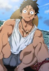 monkey d luffy from one piece by peanuts4343