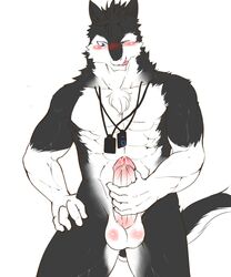 abs biceps black_fur black_hair blue_eyes claws clothing discordnight fur hair male male_only mammal mayar muscles necklace pants pecs sergal solo standing toned