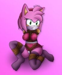 amy_rose amy_rose_(boom) bondage darkman-zero gag panties rope sonic_(series) sonic_boom