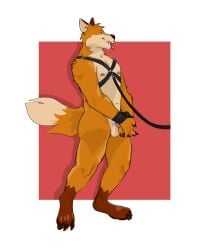 2023 absurd_res anthro arms_tied balls bondage bound canid canine corruptedsnout fox genitals harness hi_res leash looking_at_viewer male male_only mammal nipples nude paintfox_(character) paws penis solo standing tail tongue tongue_out