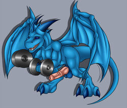 dragon gym kurtassclear male male_only penis weight