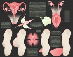 body_horror flittermilk hyper hyper_prolapse hyper_pussy madamsquiggles ovipositor ovipositor_penis parasite parasite_in_urethra parasites pregnancy prolapse prolapsed_pussy reproductive_hijack tagme transformation uterus vaginal_prolapse womb worm