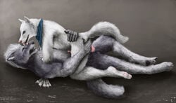 anal anthro ass balls bandana canine couple licking love male mammal neckerchief penis plantigrade sex tongue tongue_out warpaws_(artist) white_wolf wolf yaoi