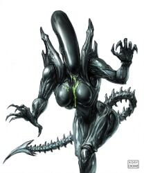 1girls 2d alien alien_(franchise) ass breasts drooling exoskeleton facing_viewer female female_focus female_only female_xenomorph green_drool kory_cromie long_tail sharp_claws sharp_teeth solo solo_female spines spit watermark xenomorph xenomorph_tail