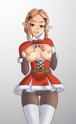 princess zelda from nintendo