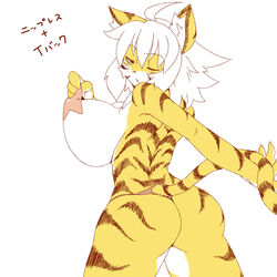 breasts clothing feline fur hair kemono long_hair mammal nipples no3512 panties tiger underwear white_hair yellow_fur