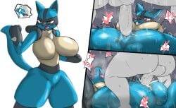 enigi09 lucario pokemon riolu