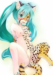 animal_ears blue_hair blush breasts cheetah chest_tuft drooling feline female fur furry hair hatsune_miku heterochromia human ka kagerofu long_hair multi_breast nail_polish nipples nude open_mouth saliva simple_background solo sweat tail tears teeth tongue transformation tuft vocaloid