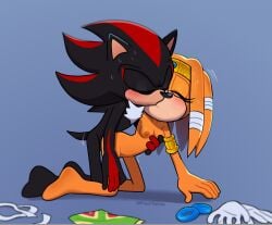 ari_dibujitos clothes_on_floor furry girly kissing naked_female penis_in_pussy shadow_the_hedgehog sonic_(series) sonic_the_hedgehog_(series) tikal_the_echidna