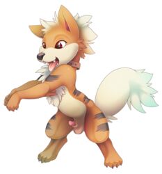 2015 alpha_channel b-ern balls canine chest_tuft collar feral fur growlithe looking_away male male_only mammal nintendo open_mouth penis penis_tip plain_background pokemon pokemon_(species) rearing red_eyes sheath smile solo tongue tongue_out transparent_background tuft video_games