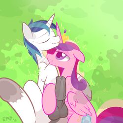 2015 alicorn animal_genitalia balls blue_hair braddo closed_eyes couple crown cutie_mark duo equine erection female feral friendship_is_magic hair hooves horn horsecock husband_and_wife male mammal multicolored_hair my_little_pony penis princess_cadance_(mlp) shining_armor_(mlp) smile straight unicorn wings