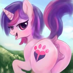 2015 absurd_res animal_genitalia anus aponty ass cutie_mark digital_painting_(artwork) dock equine equine_pussy fan_character female feral hair hi_res horn looking_at_viewer mammal my_little_pony open_mouth outside purple_eyes pussy raised_tail solo two_tone_hair unicorn