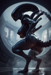 alien alien_genitalia alien_humanoid ass asshole horny pussy pussy_juice squirting xenomorph