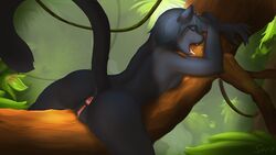 2015 anthro anus ass black_fur closed_eyes feline female fur furry jungle leaves mammal monkeyspirit nude open_mouth panther pussy sleeping solo tongue tongue_out tree