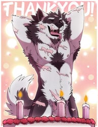 1boy aluminemsiren anthro balls biceps birthday candle canine chest_tuft facial_hair fur furry male male_only mammal muscles nipples orion_(aluminemsiren) pecs penis solo tuft