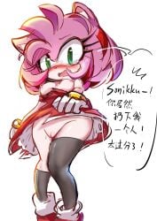 accessory amy_rose anthro blush boots bracelet breasts clothing dialogue dress eulipotyphlan female footwear geopelia720276 gloves gold_(metal) gold_bracelet gold_jewelry green_eyes hair hair_accessory hairband handwear hedgehog hi_res japanese_text jewelry legwear mammal nervous pink_hair pussy sega shoes solo sonic_(series) sonic_the_hedgehog_(series) speech_bubble tan_body text thigh_highs torn_clothing