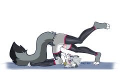 2025 animal_genitalia anthro arm_warmers armwear ass autofellatio bell bell_collar blue_eyes blush bodily_fluids bottomless bottomless_anthro bottomless_male caught caught_in_the_act claws clothed clothing collar digital_media_(artwork) dipstick_ears dipstick_tail dipstick_toes domestic_cat ear_markings egyptian_mau erection eyewear felid feline felis fellatio femboy fluffy fluffy_tail fur genital_fluids genitals glasses grey_body hair hi_res leg_warmers legwear looking_at_viewer lying male mammal markings masturbation multicolored_ears nixuelle on_back open_mouth oral oral_masturbation penile penile_masturbation penile_spines penis pink_nose raised_leg saliva saliva_on_penis saliva_string scarlet-frost sex simple_background solo spots spotted_markings stockings stretching tail tail_markings thigh_highs tuft yoga yoga_top
