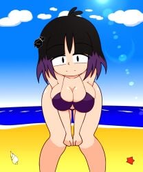 1girls ass beach big_ass big_breasts bikini bikini_bottom bikini_top black_eyes black_hair blush bra breasts female hilda_(series) kaisa_(hilda) looking_at_viewer pale-skinned_female pale_skin posing purple_hair short_hair thighs two_tone_hair wide_hips ‐ninja‐
