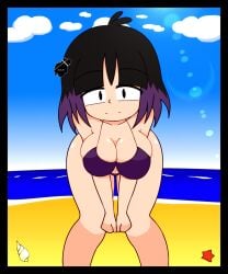 1girls ass beach big_ass big_breasts bikini bikini_bottom bikini_top black_eyes black_hair blush breasts female hilda_(series) kaisa_(hilda) looking_at_viewer pale-skinned_female pale_skin posing purple_hair short_hair thighs two_tone_hair wide_hips ‐ninja‐