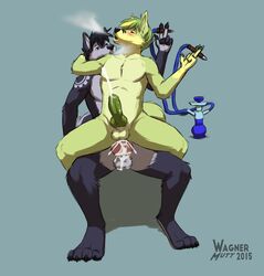 2015 anal anthro blush canine closed_eyes cum cum_in_ass cum_inside duo fox foxgear fur green_fur green_penis hi_res hookah husky male mammal nude penetration penis smoking wagnermutt yaoi