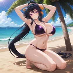 Akeno Himejima Rule 34 Image