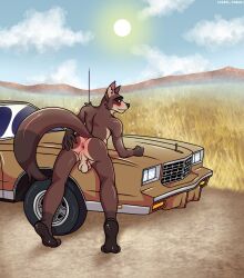 2026 absurd_res anthro anus ass backsack balls bent_over blush car cloud cxeroannuki day detailed_background domestic_cat felid feline felis field genitals hand_on_butt hi_res hybrid inviting looking_at_viewer looking_back male mammal nature nature_background on_car on_hood outside pawpads paws penis pinup pose presenting presenting_anus presenting_hindquarters procyonid raccoon solo spread_butt spreading sun tail tail_aside vehicle