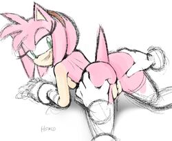 amy rose from sonic (series) by hotred
