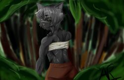 Felinor (Deepwoken) Rule 34 Image