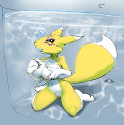 1girls bandai_namco bathtub breasts bubbles byondrage digimon female fondling nude r34 renamon sketch solo tub underwater