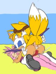 amy rose from sonic (series) by hotred
