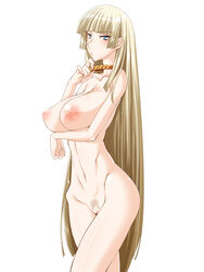 blonde_hair blue_eyes breasts censored collar ebido emilie_de_rochefort female female_only highres human large_breasts long_hair namco navel nipples nude pubic_hair pussy simple_background solo tekken very_long_hair