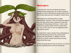 brown_hair character_profile female long_hair mandragora mon-musu_quest! monster_girl monster_girl_quest official_art plant plant_girl translated