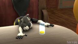 16:9 2024 3d_(artwork) alcohol animated animatronic anthro areola artist_name asriren_(character) ass avian beak beer beverage big_breasts big_butt bird black_body black_fur black_sclera blue_eyes breasts canid canine chicken digital_media_(artwork) eyebrows eyelashes fart fart_cloud fart_fetish female five_nights_at_freddy's five_nights_at_freddy's_2 fox fox_mccloud fur galliform gallus_(genus) green_eyes hair huge_breasts huge_butt huge_hips huge_thighs machine male mammal multicolored_body multicolored_fur nintendo nipples nude orange_areola orange_beak orange_nipples phasianid robot rosy_cheeks runaboo_(modeler) runaboo_chica scottgames sleeping source_filmmaker_(artwork) star_fox tagme tavern terros text thick_thighs toy_chica_(fnaf) video warfare_fox warfaremachine_(modeler) white_body white_eyes white_fur white_hair wide_hips widescreen yellow_body yellow_fur