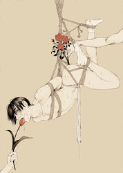 anal anal_insertion anal_object_insertion axis_powers_hetalia black_hair bondage flower flower_in_ass flower_insertion flowers fundoshi honda_kiku insertion japan_(hetalia) japanese_clothes loincloth male male_only object_in_ass object_insertion plant simple_background solo tabi tears tongue winji