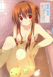 1girls absurdres areolae bath bathroom bathtub bird blush breasts brown_hair censored collarbone convenient_censoring duck female fingernails hair_covering_breasts highres indoors kuwashima_rein legs long_hair looking_at_viewer nipples nude open_mouth original red_eyes rubber_duck sitting solo tile_wall tiles tororo_inniina water