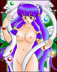 Shampoo (Ranma 1/2) Rule 34 Image