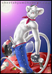 2005 antennae anthro balls biker_mice_from_mars clothing fingerless_gloves fur furry gloves looking_aside male male_only mammal motorcycle mouse nipples penis rodent solo straddle topless vehicle vinnie_(bmfm) zen