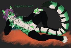 anthro clothing cuntboy digital_media_(artwork) feline frostwyrm102 fur green_fur hair intersex legwear mammal mostly_nude purple_hair pussy simple_background stockings