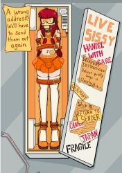 arms_behind_back bondage bound bound_ankles bound_arms brainwashing collar collar_tag container english_text gag gagged high_heels in_box in_container miniskirt png selkieprince sissy skirt text thighhighs