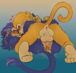 anal anal_fluids anthro anus ass balls blush blush_lines bodily_fluids duo face_to_face facial_markings feet from_front_position fur genitals gradient_background greying_hair hair hairless_face hand_on_head haplorhine head_markings heart_symbol hi_res journey_to_the_west lion-tailed_macaque long_hair long_tail lying macaque male male/male mammal markings mating_press missionary_position monkey multi_ear old_world_monkey on_back orange_body orange_eyes orange_fur penis perineum primate purple_body purple_fur rhesus_macaque sex simple_background six-eared_macaque snake_venom snout soles sun_wukong tail teal_eyes toes