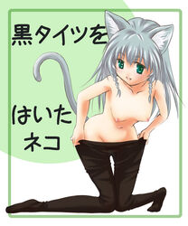 animal_ears breasts cat_ears cat_tail green_eyes grey_hair kawagoe_pochi nipples no_panties original pantyhose small_waist tail text thigh_gap thighs topless translation_request