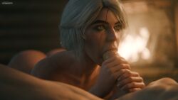 ciri from cd projekt red by jackmancactus